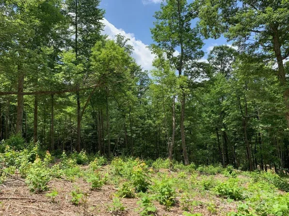 99999 Haviture Way #3, Candler, NC 28715