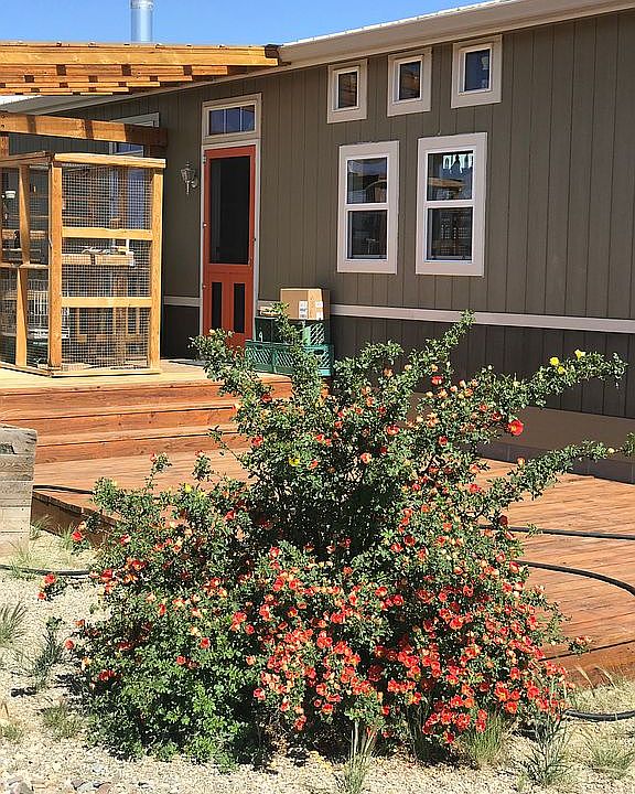 555 State Highway 567, Carson, NM 87517 Zillow