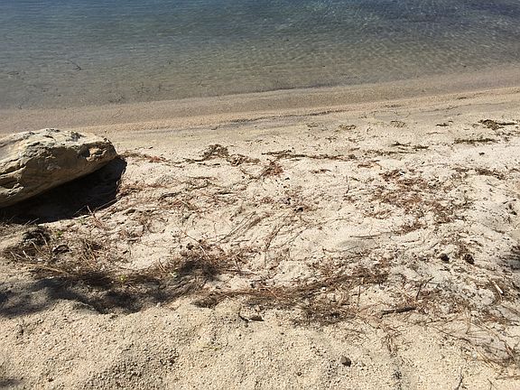 lake access thru 50' beach