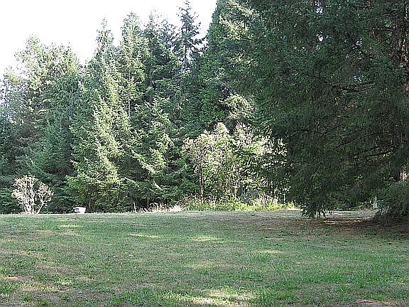 3rd image of 00 Wild Rose Dr
