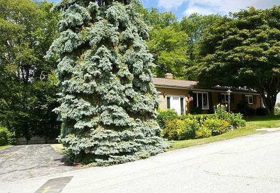 2nd image of 2 Birchwood Dr