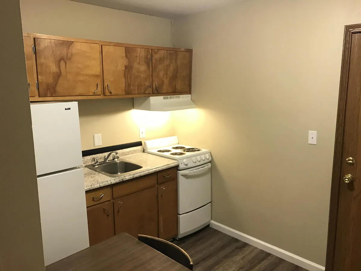 New wood laminate flooring throughout - 2012 S Illinois Ave #12