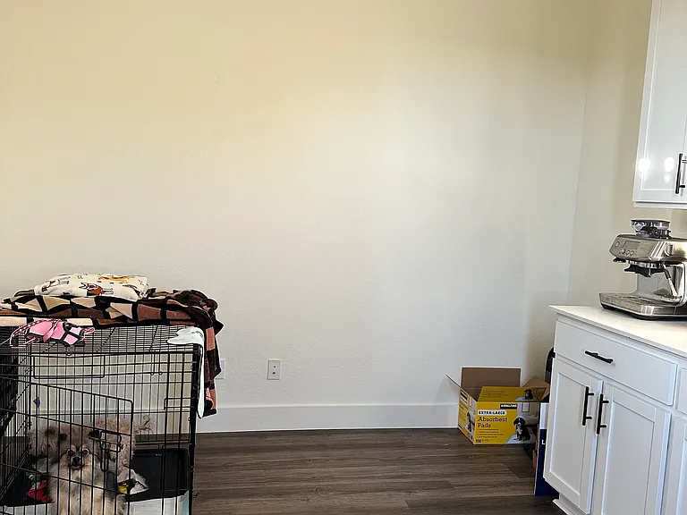 Gallaway Ct — Photo 3