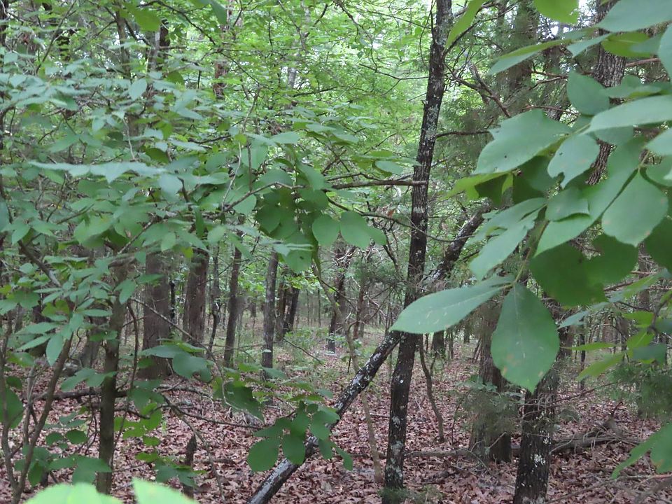 2nd image of Rural County Rd