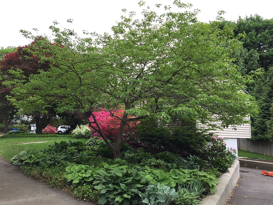 2nd image of 99 Clearwater Rd