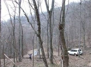 208 Mount Olive Dr, Asheville, NC 28804