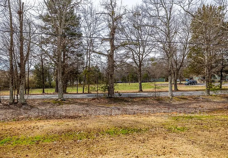 225 Coldwater Creek Ct — Photo 23