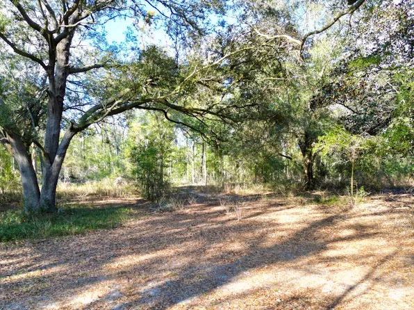 8951 188th Ter, McAlpin, FL 32062