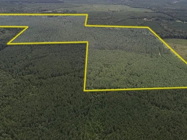Zoar Rd Lot Wp001, Chatham, LA 71226