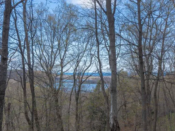 S Bohemian Rd, Maple City, MI 49664