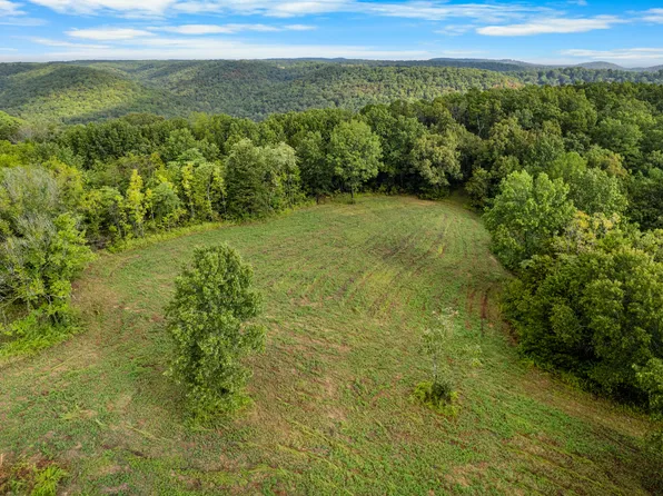 000 Pine Top Road, Hollister, MO 65672