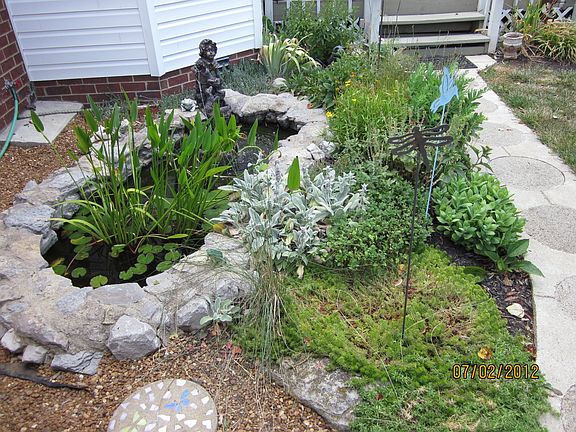 Koi pond/ flower garden