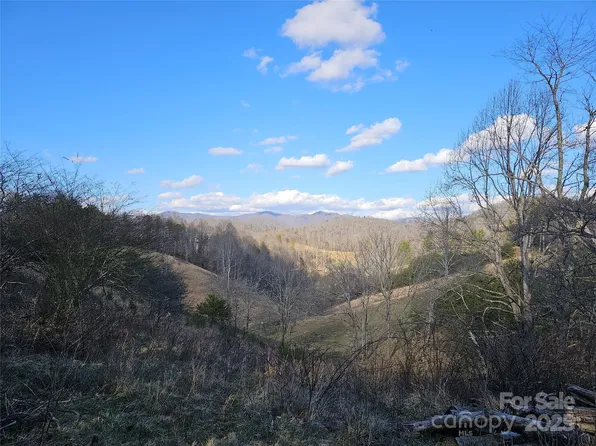 222 Indigo Bunting Ln, Marshall, NC 28753