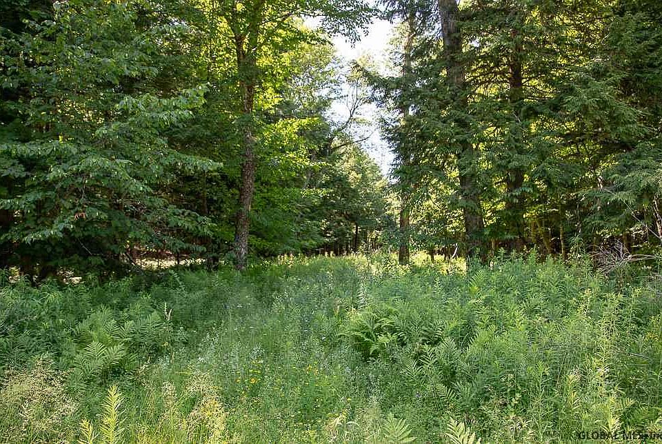 1st image of Woodland Dr