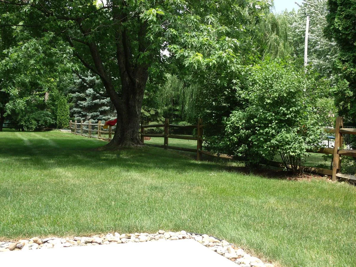 4 bed, 1820 sqft, $1,500 — Photo 4