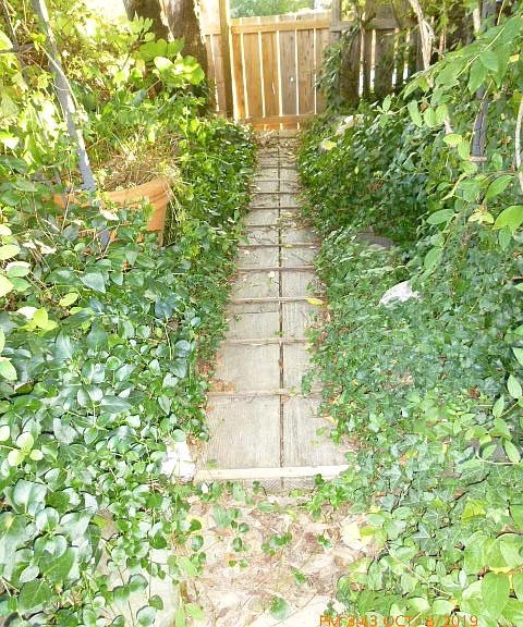 974 Orchard Ln — Photo 22