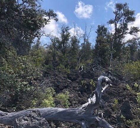 3rd image of King Kamehameha Blvd Lot 11