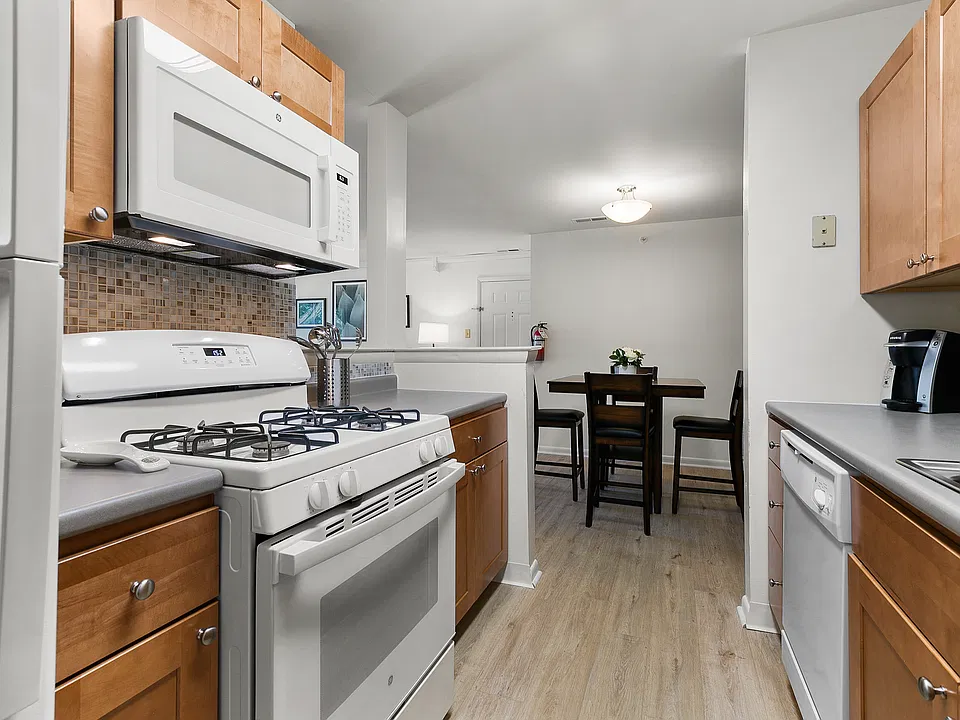 Contemporary Kitchen Style with Luxury Vinyl Plank Flooring