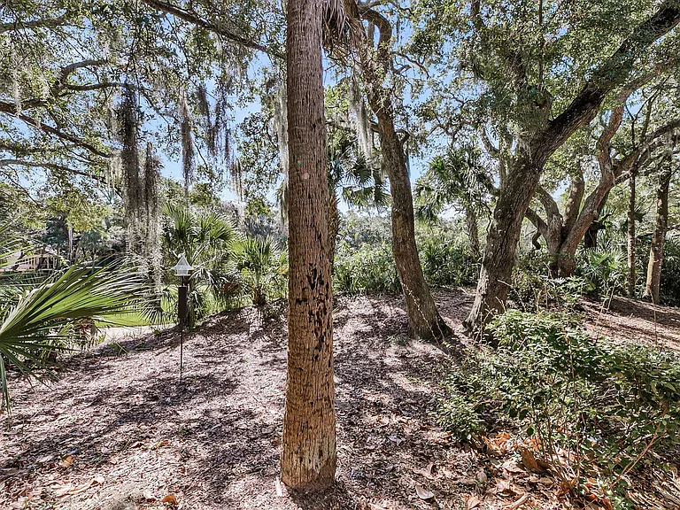 1161 Summer Wind Ln #ID1541211P — Photo 21