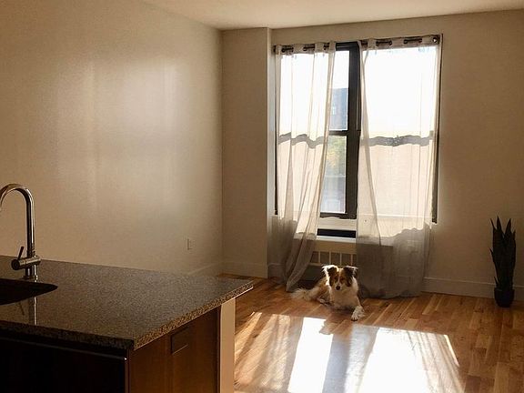 2nd image of 41 Kosciuszko St #328