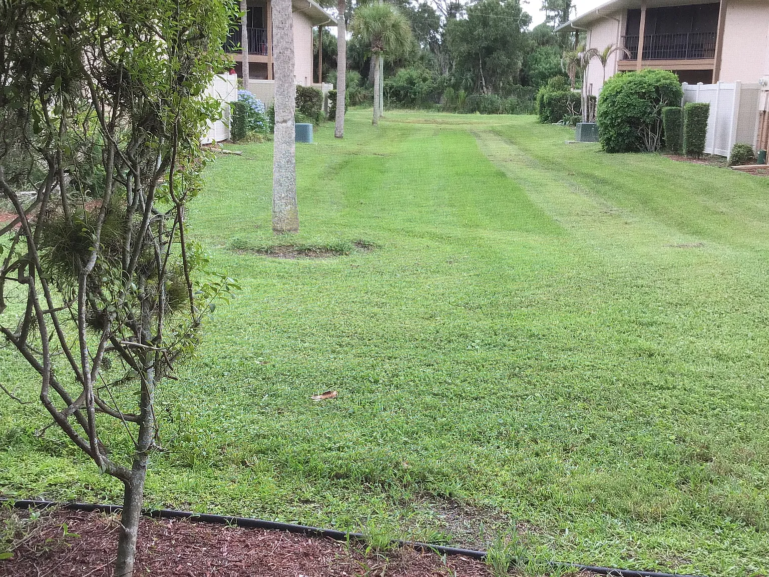 2 bed, 1000 sqft, $1,600 — Photo 4