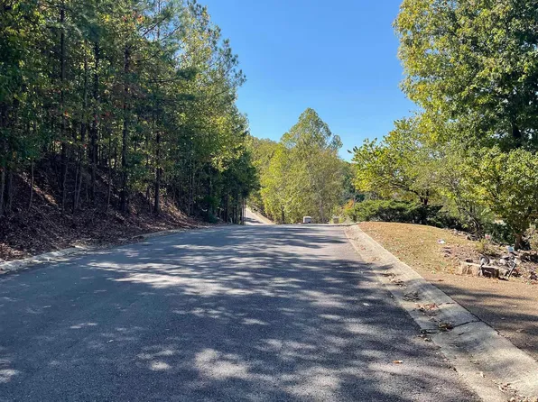 3.25 Lake Forest Shores Dr, Hot Springs National Park, AR 71913