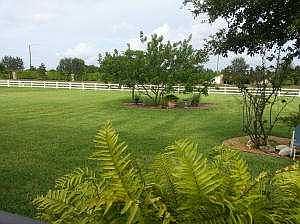 Over 1/2 Acre Lot