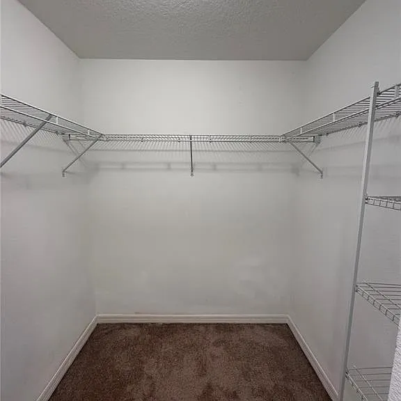 2853 Adelaide Ct — Photo 23