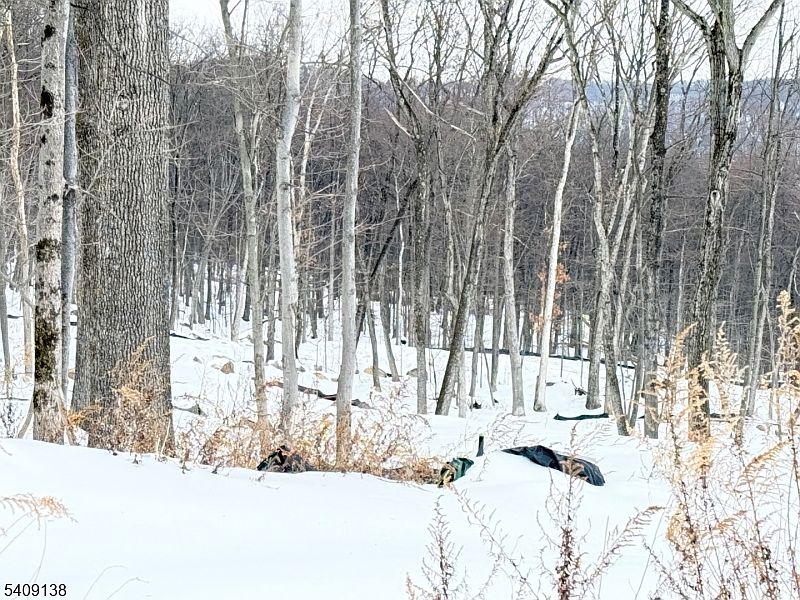 2nd image of 10 Bristol Ridge Rd