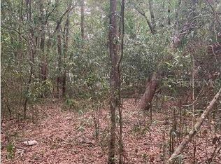 Virginia Rd #13, Altoona, FL 32702