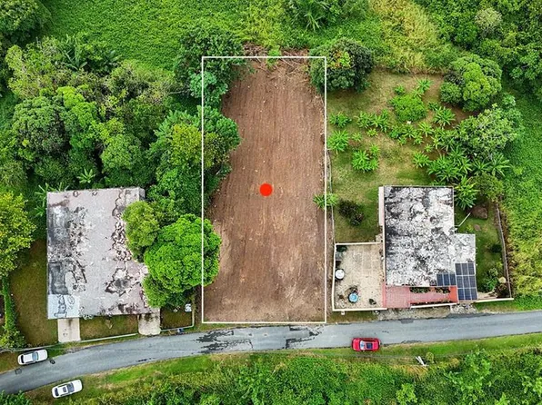 Bo Buena Vis #7, Humacao, PR 00791