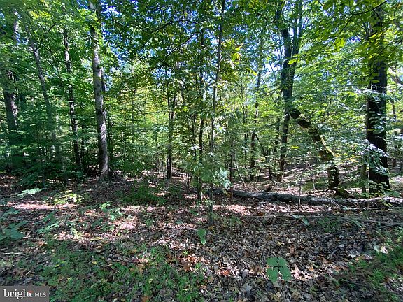 3rd image of 14 N White Oak Dr