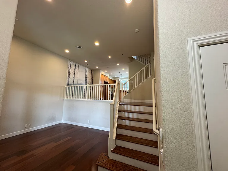 36008 Soapberry Cmn — Photo 6