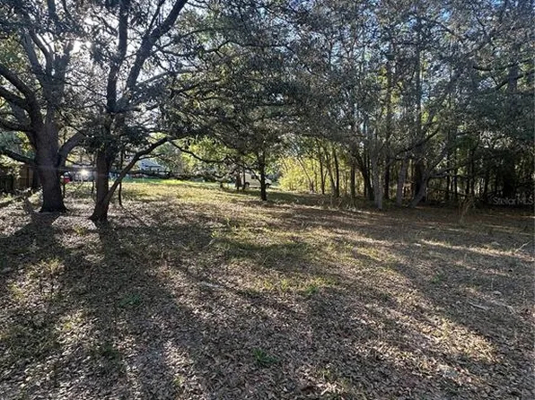 91st St Lot 11, Summerfield, FL 34491