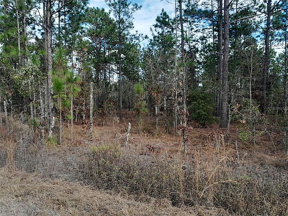 3rd image of NE 150th Ave Lot 16