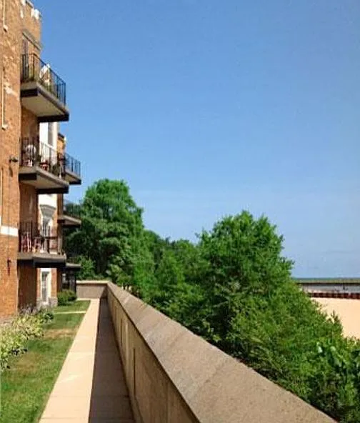 1 bed, $1,450 — Photo 3