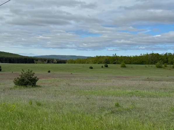 Nichols Rd, Pellston, MI 49769