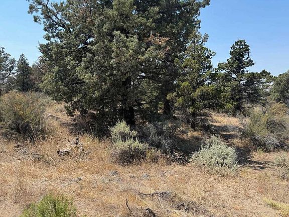 5th image of LOT 2 Feldman Rd