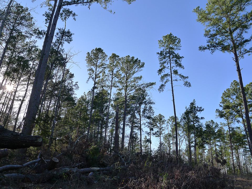 2nd image of 00 Neches Trace