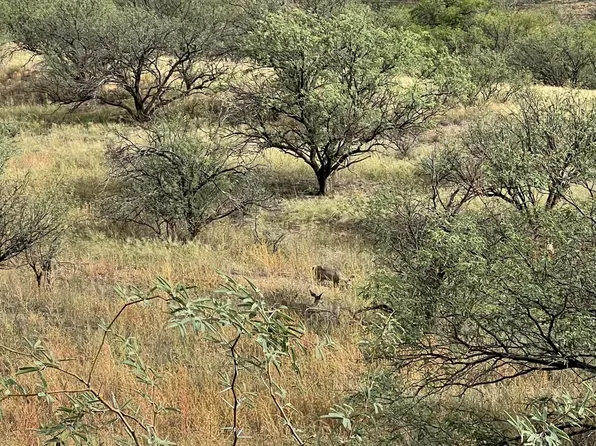 37101 S Desert Bloom Trl #141, Arivaca, AZ 85601