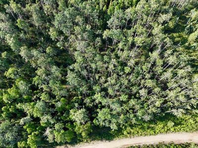L11 Bc Schlecht Drive Block C Schlecht Dr Lot 11, Delta Junction, AK, 99737