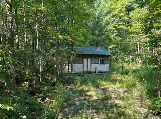 4610 Wixom Dr, Beaverton, MI 48612