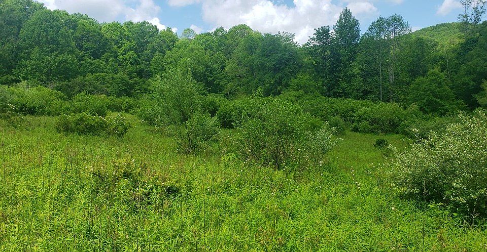 2nd image of Poor Valley Rd