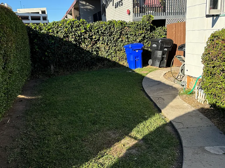 Private grass yard with hedge