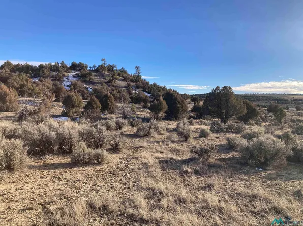 Moose Trl, Tierra Amarilla, NM 87575