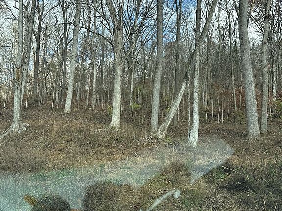 2nd image of 0 McCrory Ln