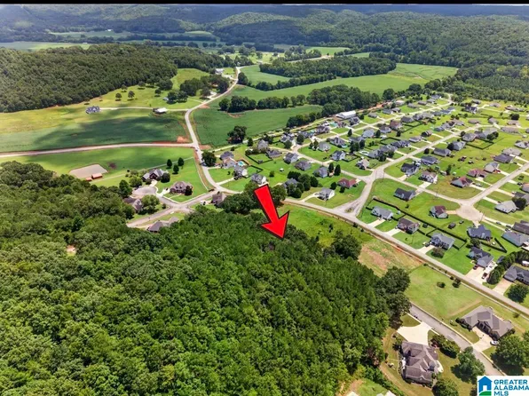 55 Canaan Cir Lot 17, Anniston, AL 36207
