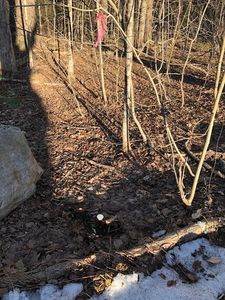 0 High Street Hill Rd, Windsor, MA, 01270
