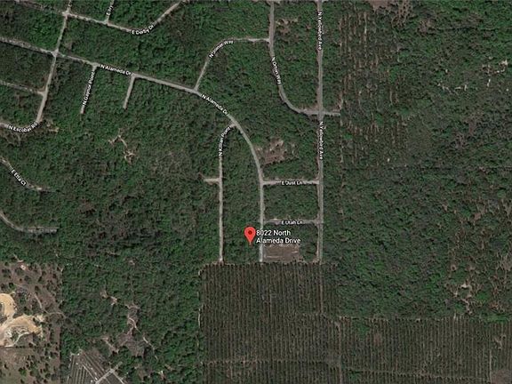 4th image of 8022 N Alameda Dr