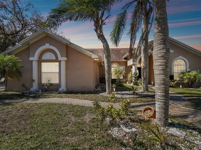 2206 S Miller Rd, Valrico, FL, 33596